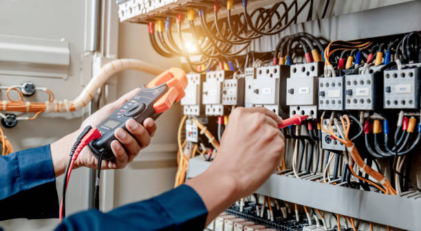 Best Electric Panel Repair  in Los Ranchos, CA